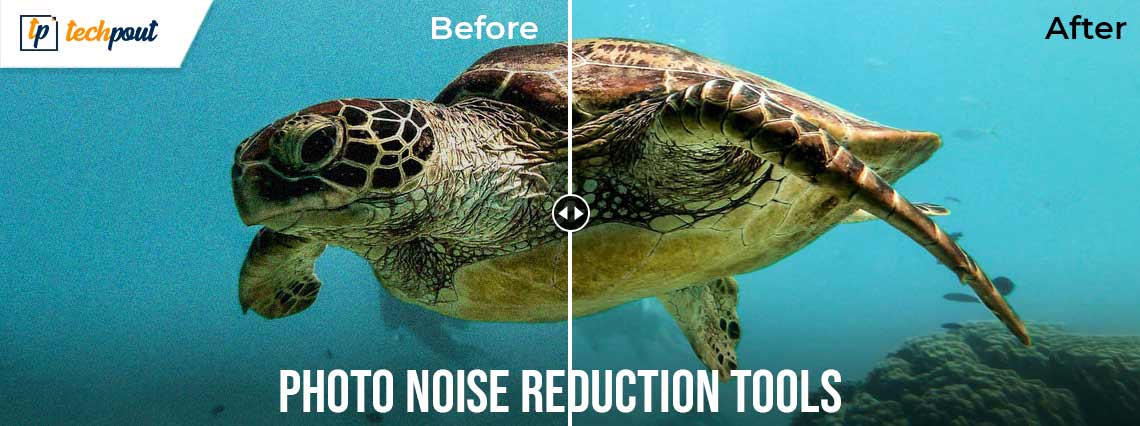5 Best Free Photo Noise Reduction Tools and Websites in 2021 5 Best Free Photo Noise Reduction Tools and Websites in 2021
