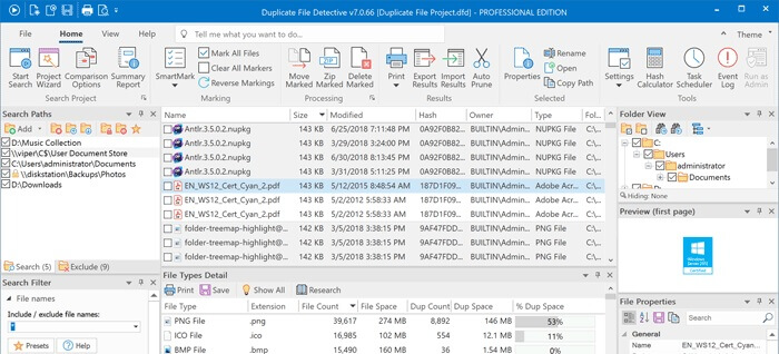 Duplicate file detective