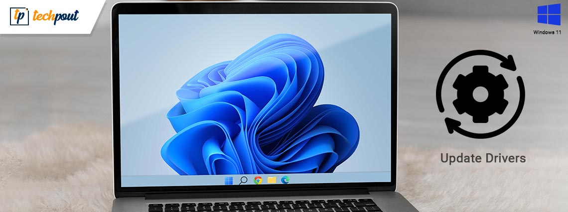 How to Update Drivers on Windows 11 [Easily]