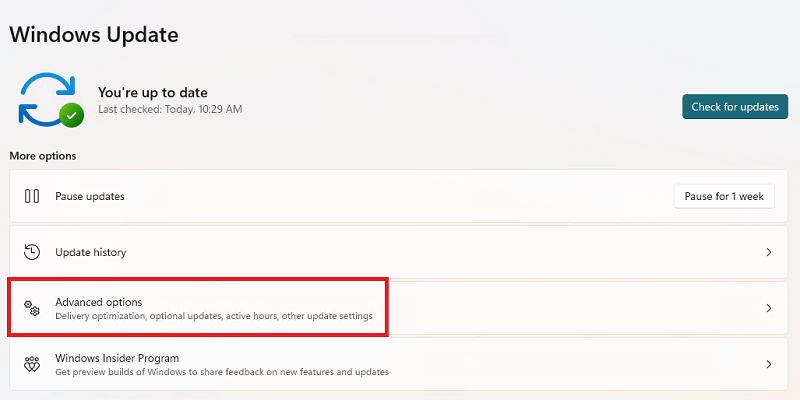 Check on Advanced Options of windows 11