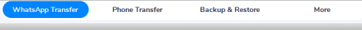 WhatsApp Transfer